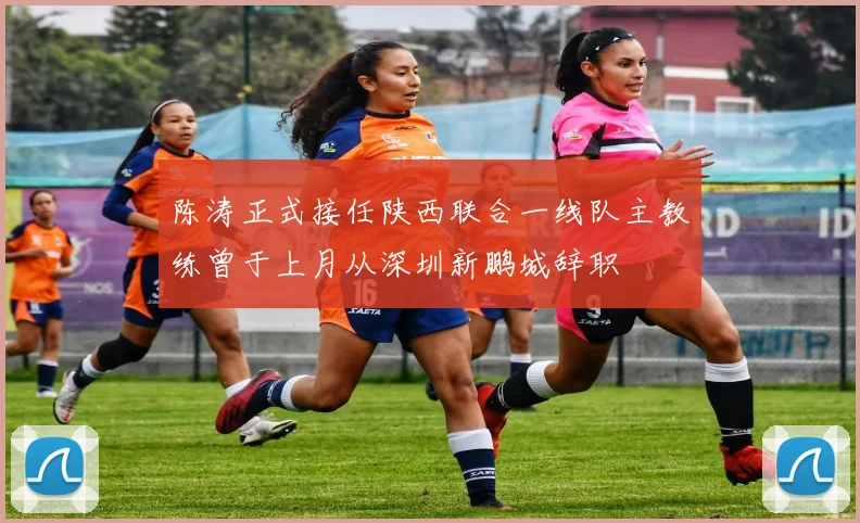陈涛正式接任陕西联合一线队主教练曾于上月从深圳新鹏城辞职